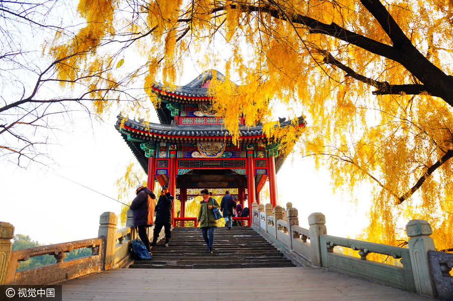 北京頤和園迎初冬 迷人景象似江南水鄉（組圖）