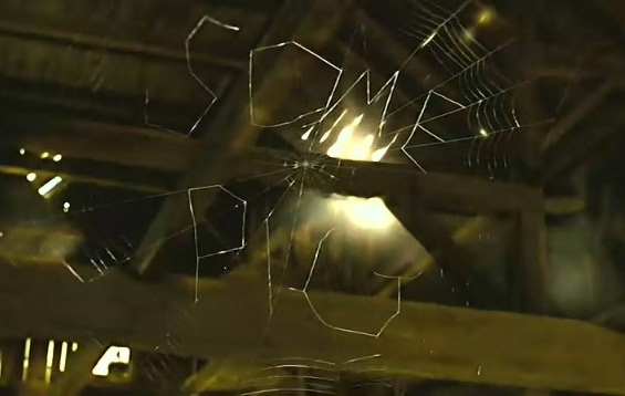 《夏洛特的網》第11章