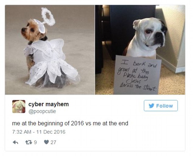 2016比慘圖大PK：鬼知道我這一年經歷了什么（組圖）