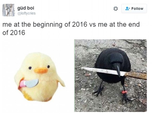 2016比慘圖大PK：鬼知道我這一年經歷了什么（組圖）