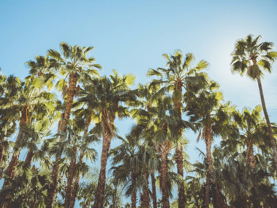 谷歌發(fā)布2016年最受歡迎的23個旅游目的地（組圖）