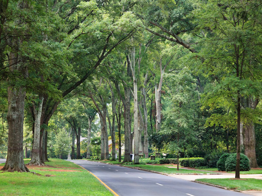 谷歌發布2016年最受歡迎的23個旅游目的地（組圖）