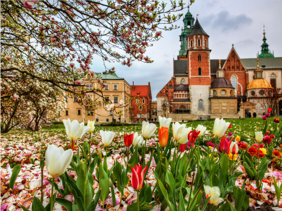 谷歌發布2016年最受歡迎的23個旅游目的地（組圖）