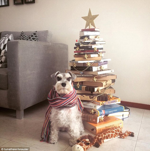 還在擺放傳統的圣誕樹?快來試試圣誕“枕”、圣誕“書”和圣誕“花”!