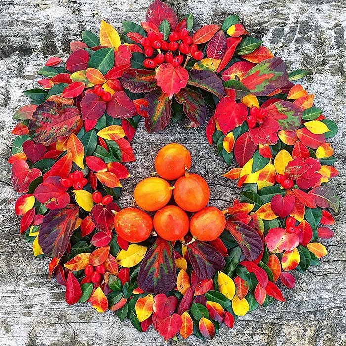 日本興起“落葉藝術”（組圖）