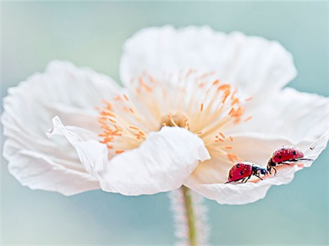 有關make的習語和表達