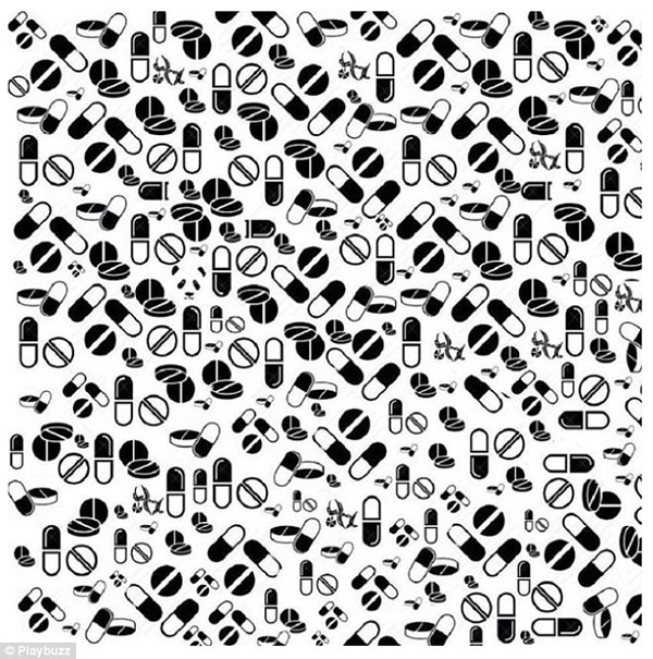 新春游戲:你能在這一群母雞中找出公雞嗎?