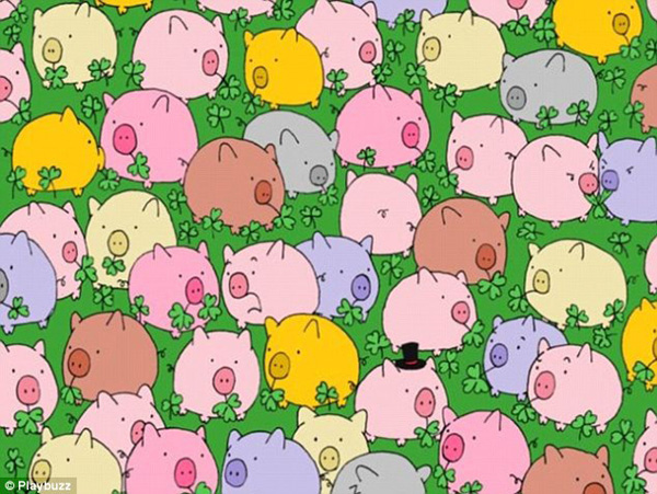 新春游戲:你能在這一群母雞中找出公雞嗎?