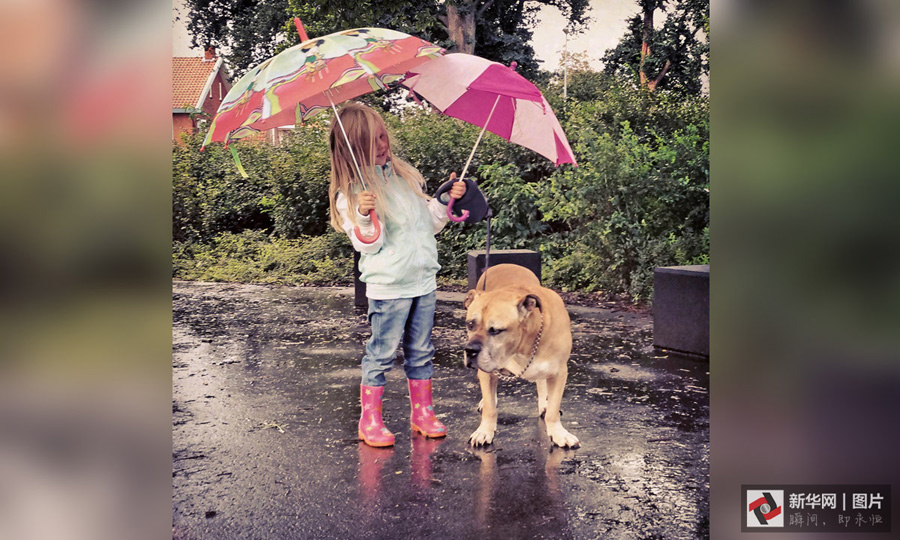 最溫情的抓拍，我的心被治愈了100遍（組圖）