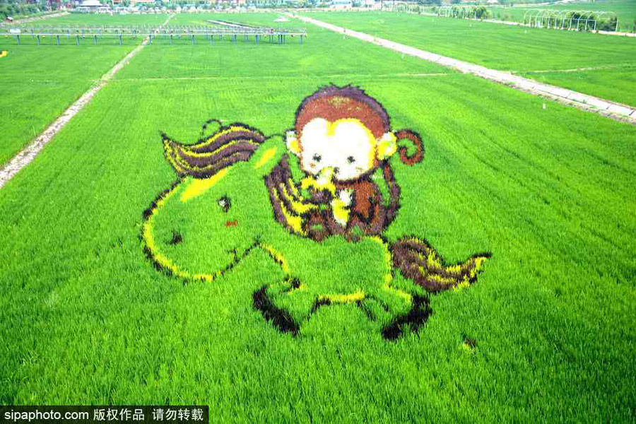 春回大地草木萌動 盤點那些農(nóng)田光景返樸歸真（組圖）