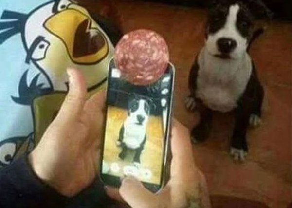 這些創(chuàng)意簡(jiǎn)直逆天了 好用到哭