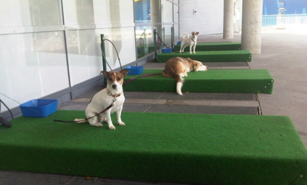 這些創(chuàng)意簡(jiǎn)直逆天了 好用到哭