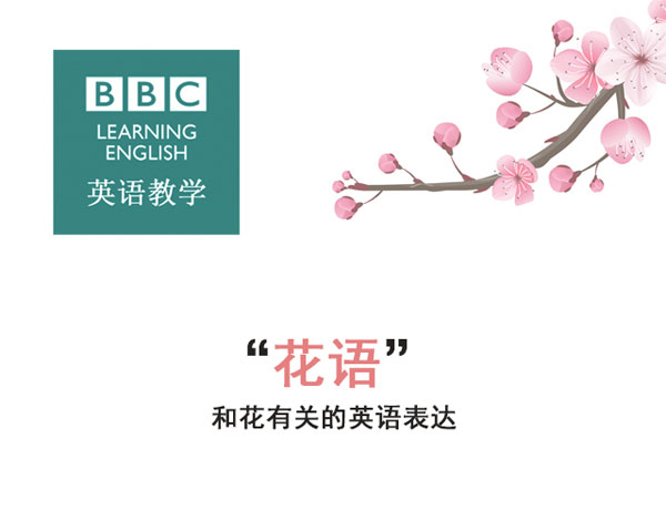“花語(yǔ)”：和花有關(guān)的英語(yǔ)表達(dá)