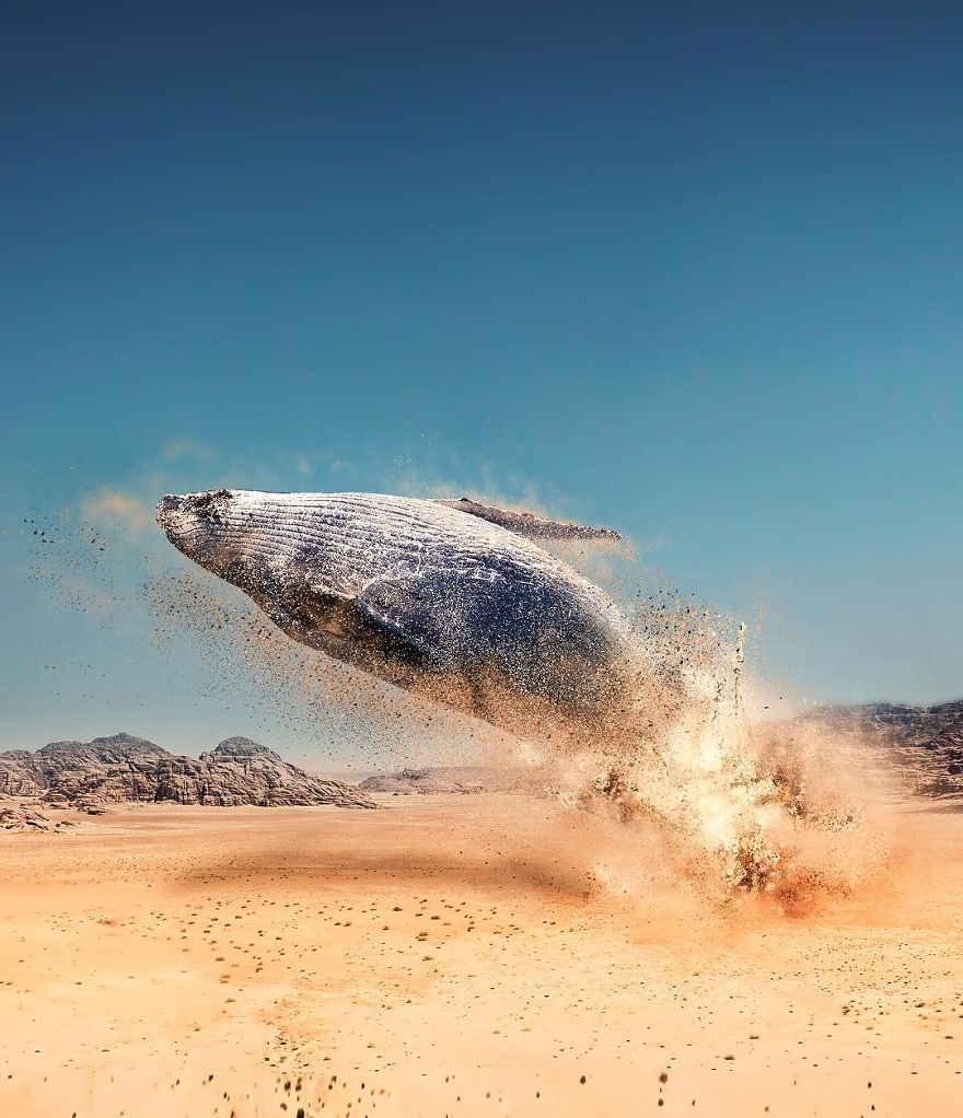 看了這些照片感覺就像做夢一樣（組圖）