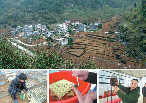 老外在中國:我的蝎子叫哈羅德