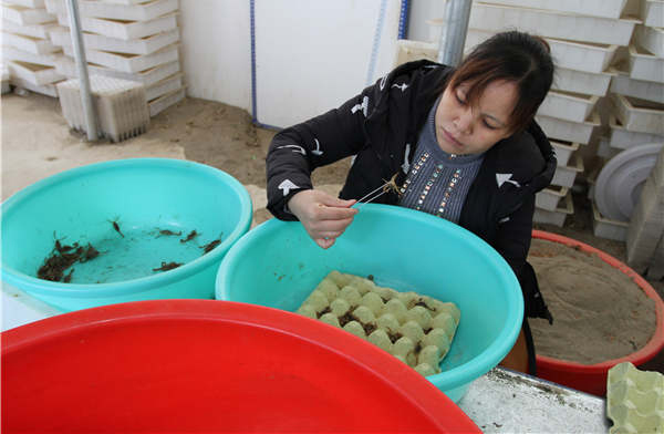 老外在中國:我的蝎子叫哈羅德