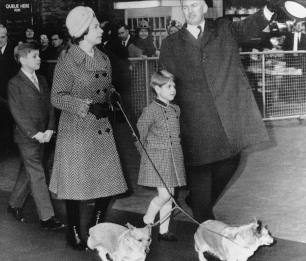 關于伊麗莎白二世的26件趣聞 女王原來你是這樣的