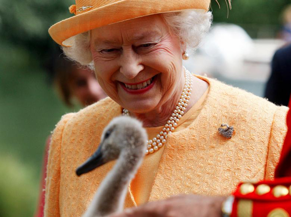 關于伊麗莎白二世的26件趣聞 女王原來你是這樣的