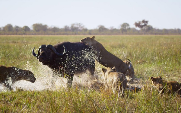 史上最佳的八檔英國電視節目
