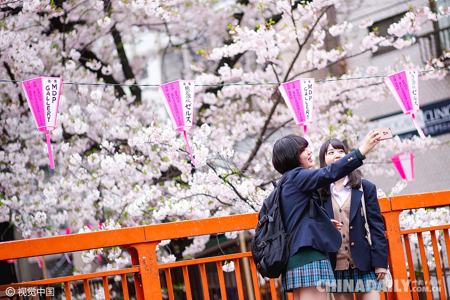 大好春光豈可負？世界各地盡享花海美景（組圖）