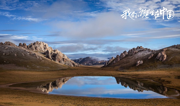 《我們誕生在中國》美國熱映 大熊貓、金絲猴、雪豹海外圈粉