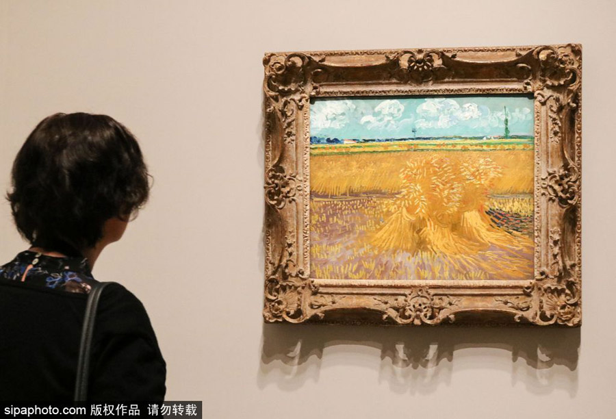 全球獨家！世界上首個梵高個人作品展在墨爾本舉辦（組圖）