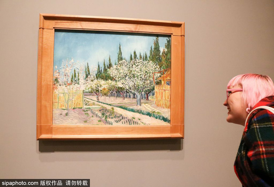 全球獨家！世界上首個梵高個人作品展在墨爾本舉辦（組圖）