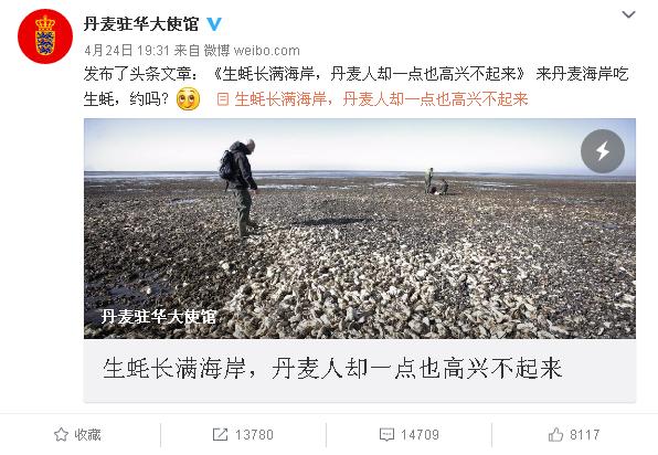 丹麥生蠔泛濫成災 中國吃貨:放著讓我來