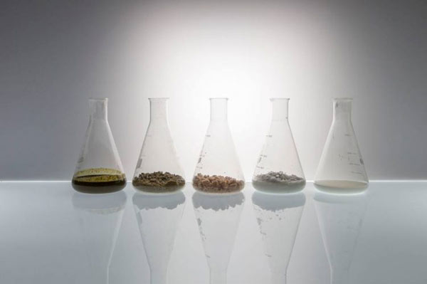 牛糞時裝：荷蘭設計師將牛糞改造成時裝