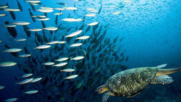 一周熱詞榜(6.3-9)