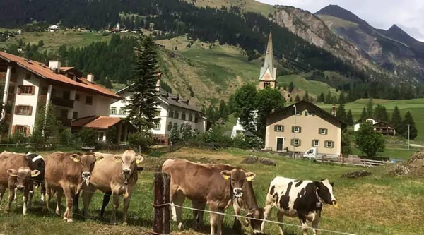 瑞士山村禁止游客拍照 理由竟是風景太美（組圖）