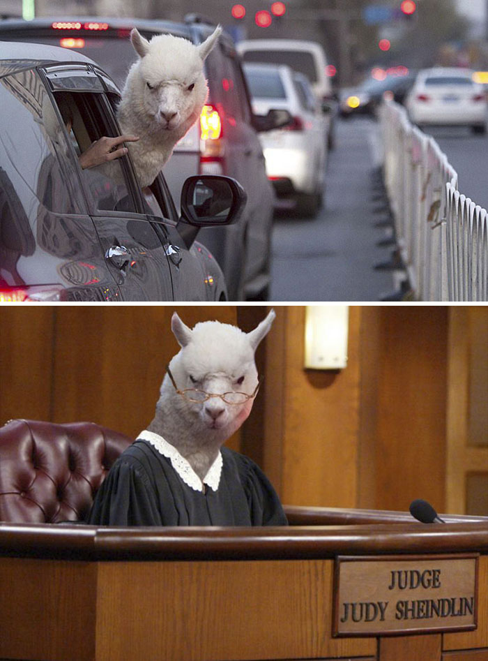 網絡PS大戰：誰是贏家？（組圖）