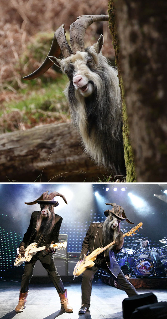 網絡PS大戰：誰是贏家？（組圖）