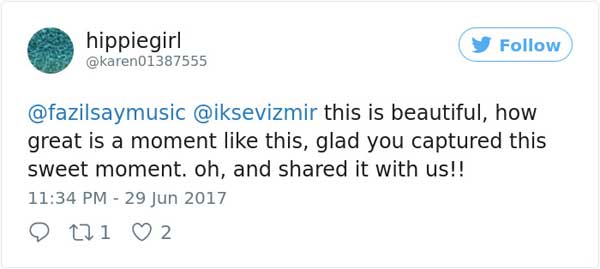 土耳其音樂會 流浪狗意外成網紅