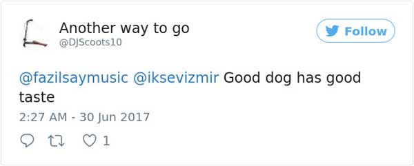 土耳其音樂會 流浪狗意外成網紅