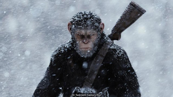 BBC推薦:7月不容錯過的8部佳片