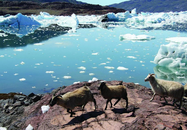 《世界遺產名錄》新增21處遺產地