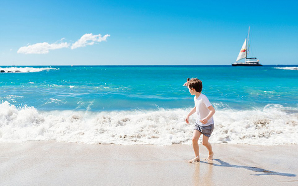 最荒唐的旅行投訴：沒人告訴我們海里有魚，嚇著孩子們了