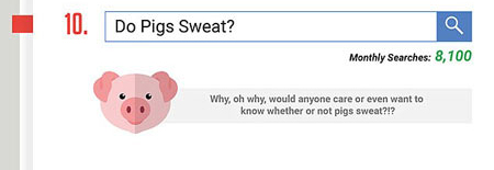 百度發(fā)布奇葩問題搜索報(bào)告 這些問題真讓人無(wú)語(yǔ)