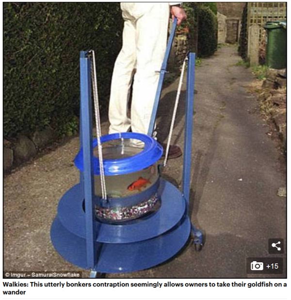 從走路吹風機到黃油擦絲器:最怪誕的日本發明