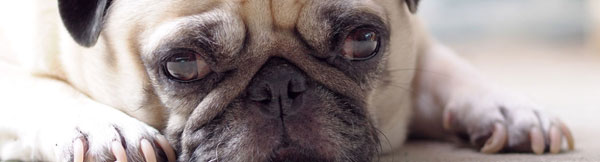 水桶有關的詞匯