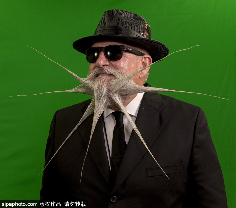 2017年世界留胡子錦標(biāo)賽：哪款Freestyle你最愛(ài)？（組圖）