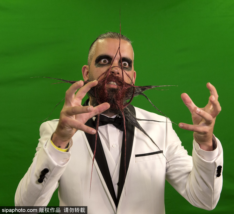 2017年世界留胡子錦標賽：哪款Freestyle你最愛？（組圖）