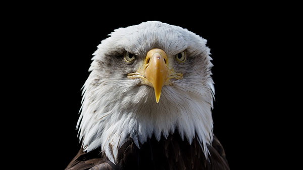 Quora精選：美國人最煩人的習(xí)慣是什么？