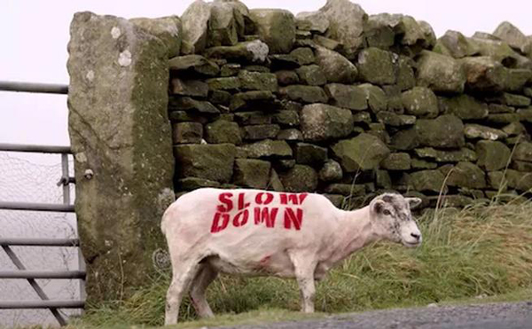 人形路樁、安全車、城市麥田圈,為了交通安全,各國(guó)也是拼啦