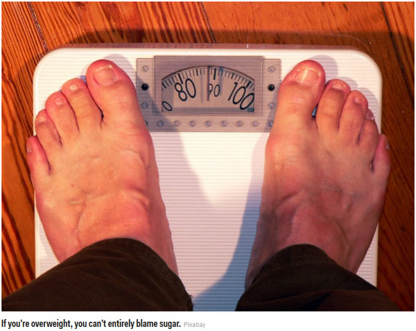 不敢吃糖?科學(xué)家揭示人們對糖的8個(gè)誤解