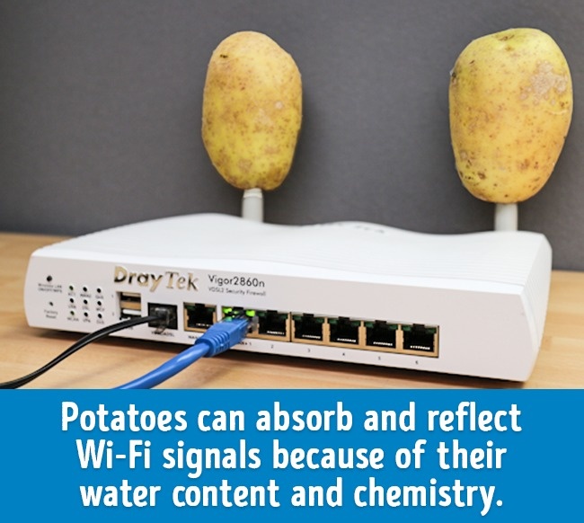 關于食物的20個冷知識 刷新你的食物觀（組圖）