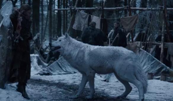 萬萬沒想到！七個讓你驚呼“厲害了”的冷知識