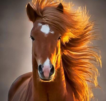 來(lái)自你身體的一封信:不許你再欺負(fù)我!