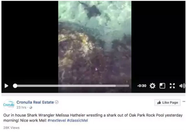 徒手抱鯊魚赤手打袋鼠，帶你認識認識彪悍的澳洲人民